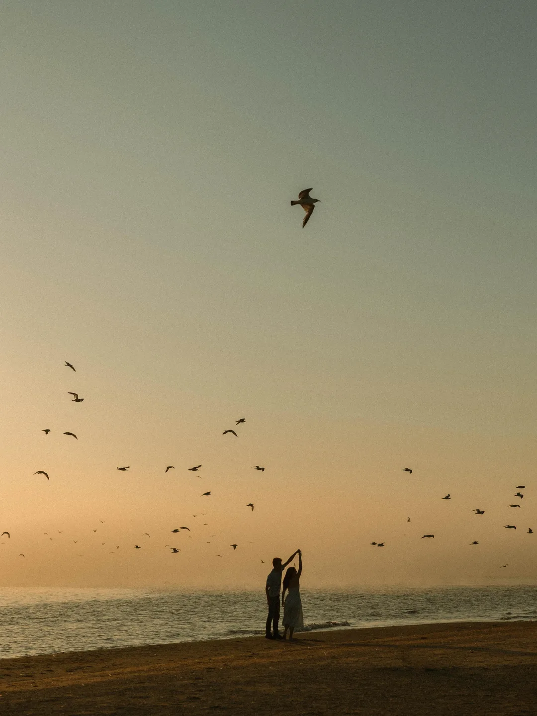 Wedding photo 5